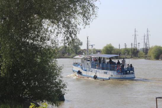 MS Fieni - in Fahrt auf der Donau in Richtung Caraoman