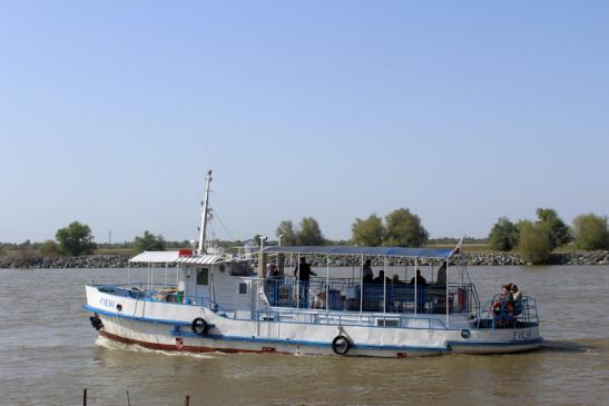 MS Fieni - in Fahrt auf der Donau in Richtung Caraoman