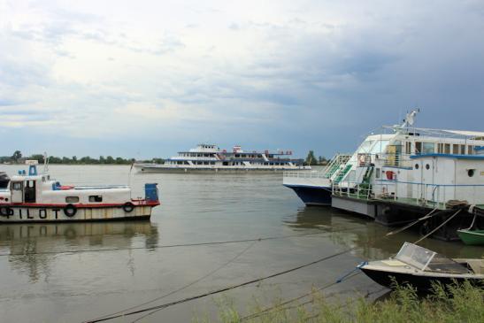 Nava Clasica - MS Moldova - Einfahrt in Tulcea